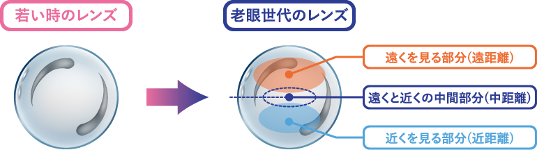 老眼世代のレンジ