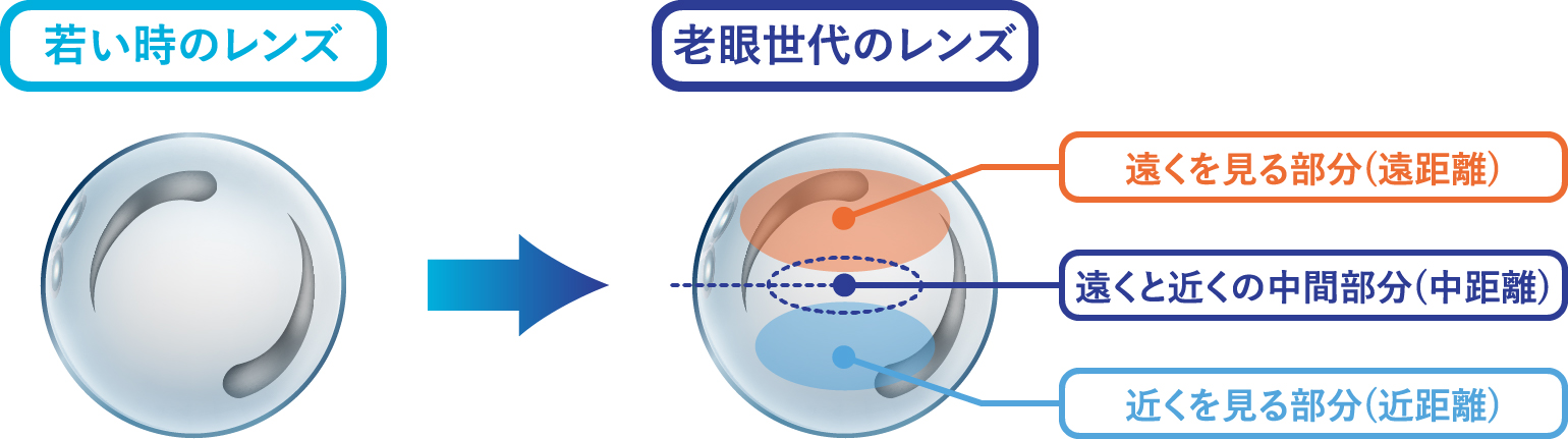 老眼世代のレンジ